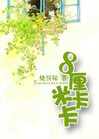 (BL/足球同人)8厘米卡卡